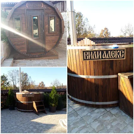 алекс Villa Elena