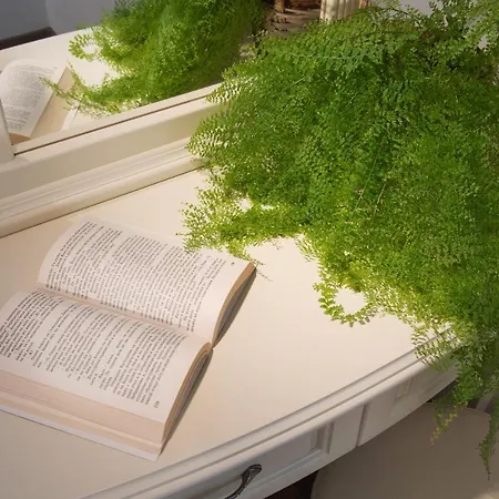 алекс Вилла *