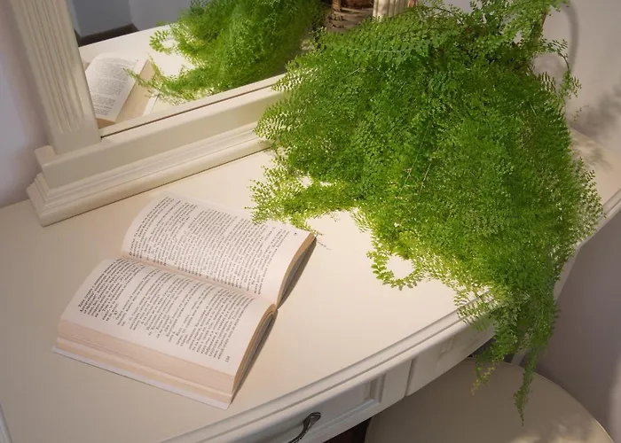 алекс וילה *